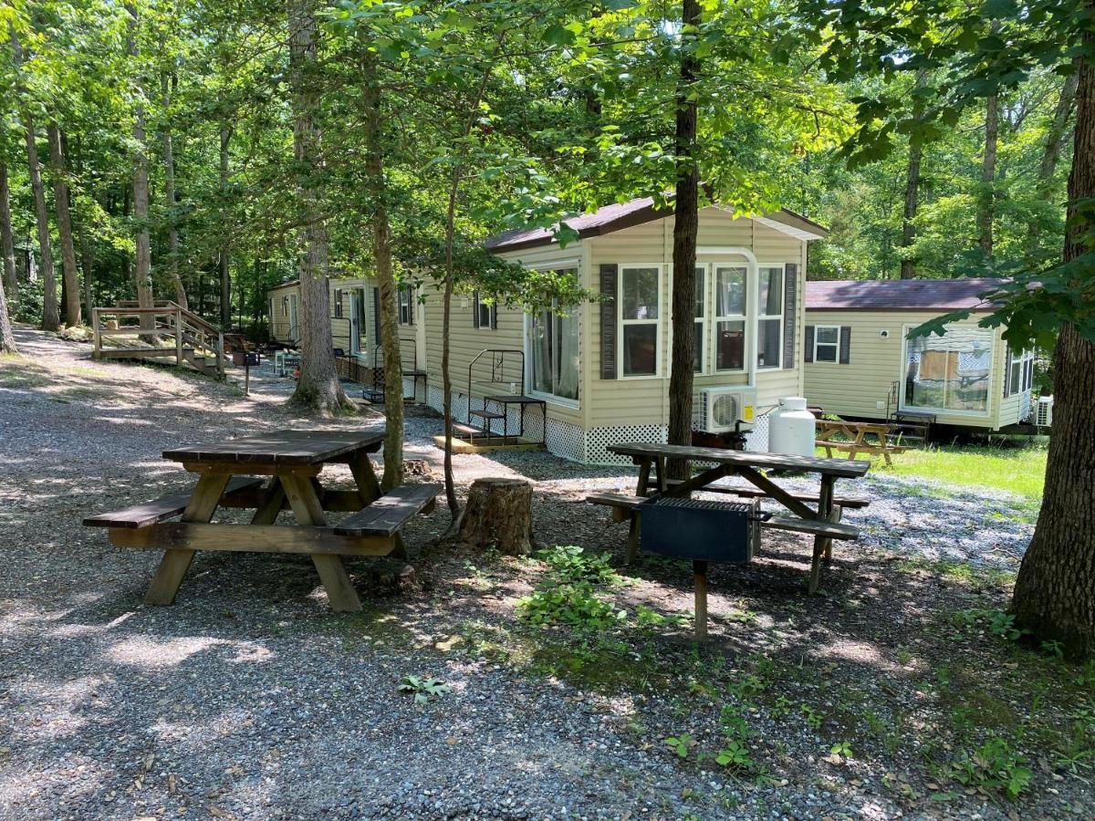 The Vintage Rv'S At Wilderness Presidential Camp Resort By Tripforth Spotsylvania Buitenkant foto