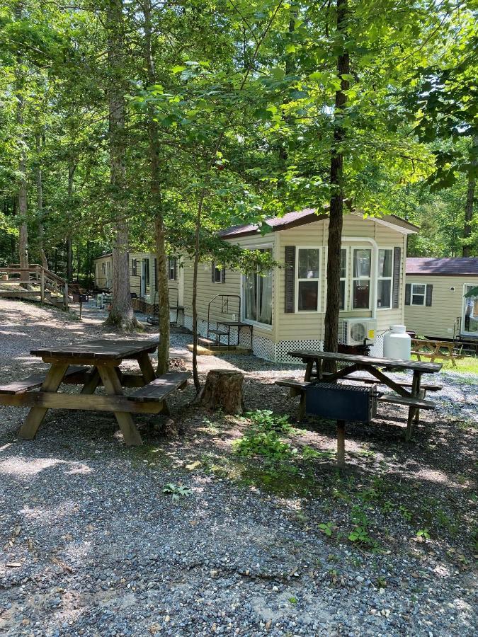 The Vintage Rv'S At Wilderness Presidential Camp Resort By Tripforth Spotsylvania Buitenkant foto