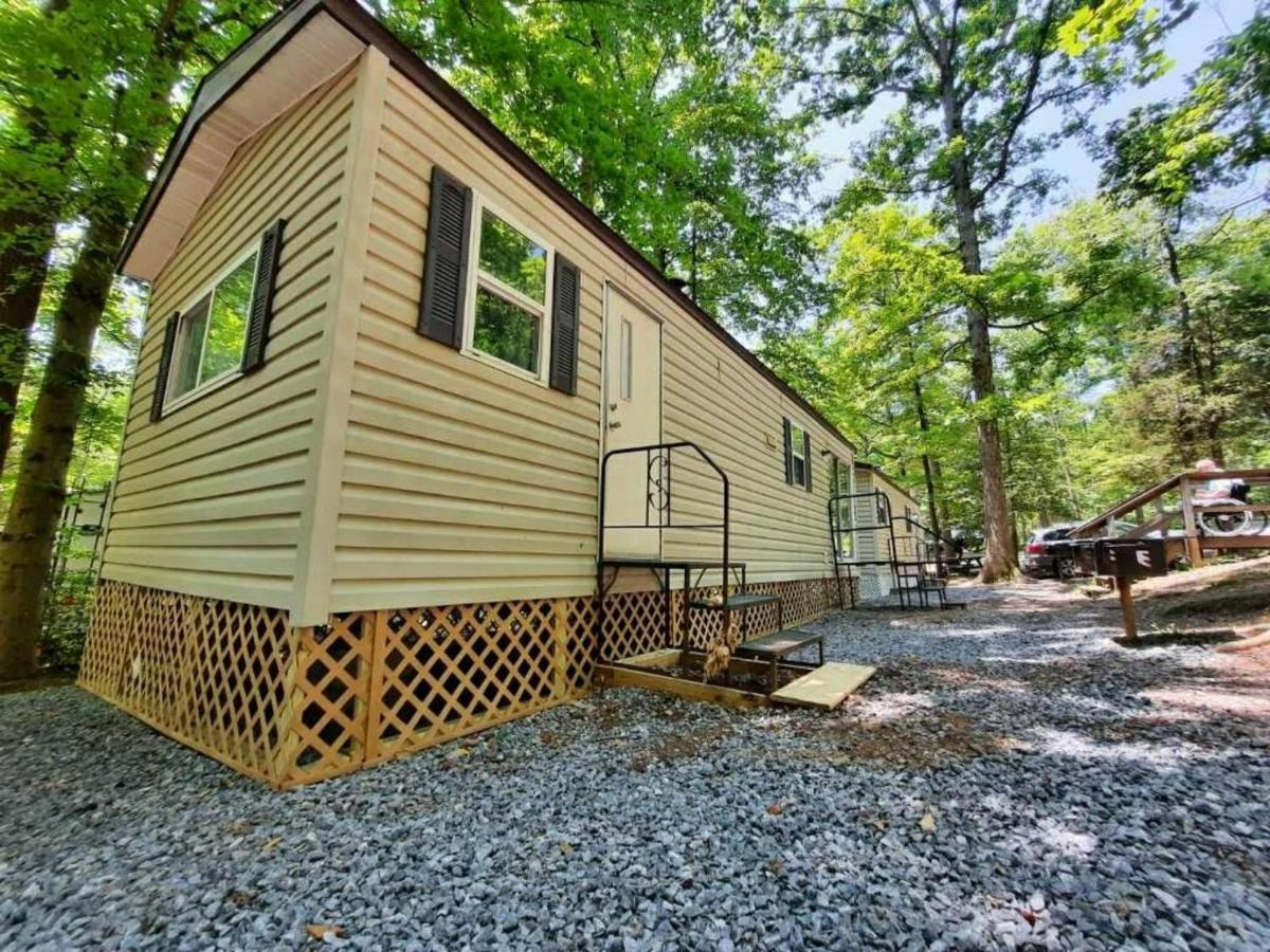 The Vintage Rv'S At Wilderness Presidential Camp Resort By Tripforth Spotsylvania Buitenkant foto